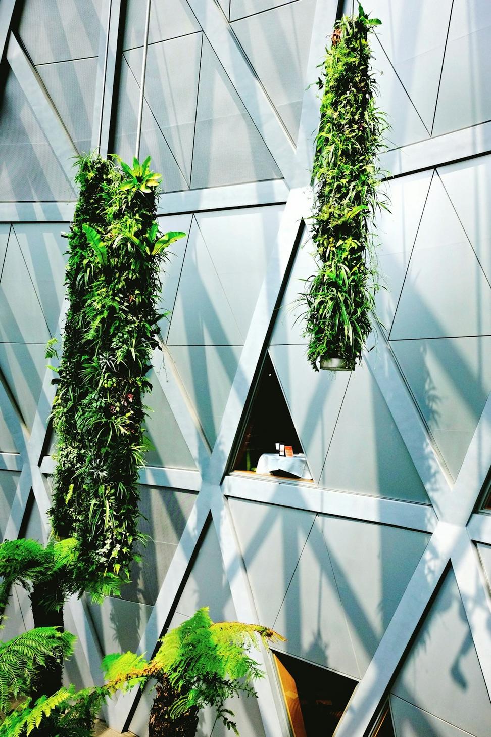 Sustainable architecture