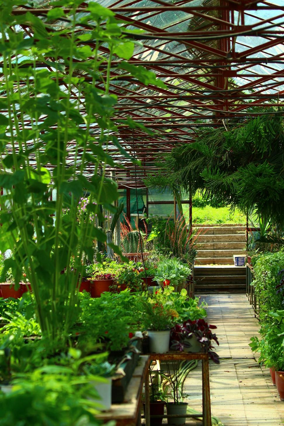 Green Building Features